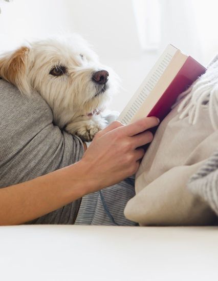 Livres : le top 10 du mois de janvier