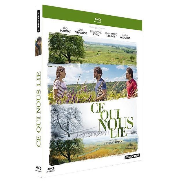 10 DVD et 10 Blu-Ray du film "Ce qui nous lie Ce-qui-nous-lie-un-film-a-consommer-sans-moderation