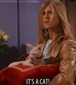 friends quand phoebe rencontre mike