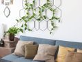 Comment entretenir un jasmin ? - Elle Décoration